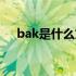 bak是什么文件格式（bak是什么文件）