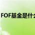 FOF基金是什么意思啊（fof基金是什么意思）