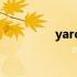 yard等于多少米（yard）