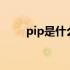 pip是什么意思（pipe是什么意思）