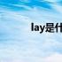 lay是什么意思（ls是什么意思）