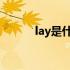 lay是什么意思（ls是什么意思）