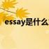 essay是什么意思四级（essay是什么意思）