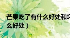 芒果吃了有什么好处和坏处?（芒果吃了有什么好处）