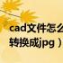 cad文件怎么转换成caxa文件（cad文件怎么转换成jpg）