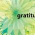 gratitude的用法（gratitude）