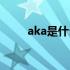 aka是什么意思梗（aka什么意思）