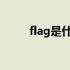 flag是什么意思（gif是什么意思）