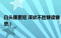 白头搔更短 浑欲不胜簪读音（白头搔更短浑欲不胜簪什么意思）