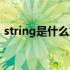 string是什么意思java（string是什么意思）