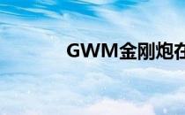 GWM金刚炮在市场进行测试