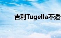 吉利Tugella不适合Coolray的电机