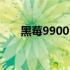 黑莓9900：经典商务手机的巅峰之作