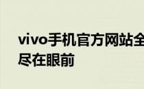 vivo手机官方网站全新体验：专业手机科技尽在眼前