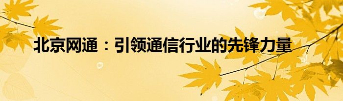 北京网通：引领通信行业的先锋力量